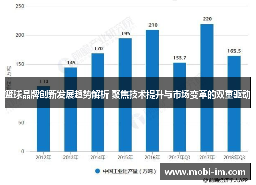 篮球品牌创新发展趋势解析 聚焦技术提升与市场变革的双重驱动