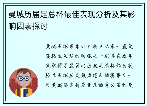 曼城历届足总杯最佳表现分析及其影响因素探讨