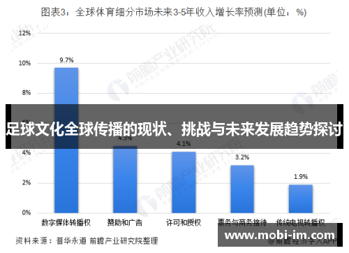 足球文化全球传播的现状、挑战与未来发展趋势探讨