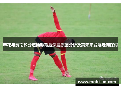 申花与费南多分道扬镳背后深层原因分析及其未来发展走向探讨