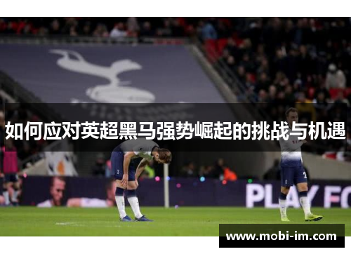 如何应对英超黑马强势崛起的挑战与机遇