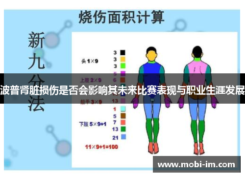 波普肾脏损伤是否会影响其未来比赛表现与职业生涯发展