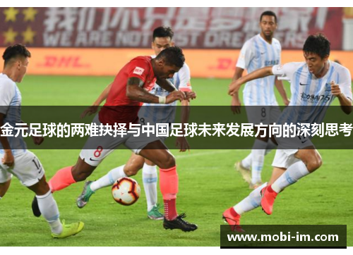 金元足球的两难抉择与中国足球未来发展方向的深刻思考