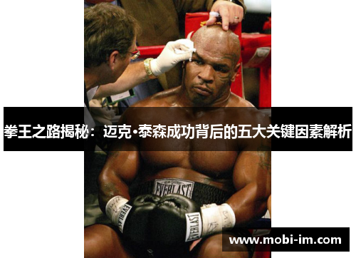 拳王之路揭秘:迈克·泰森成功背后的五大关键因素解析