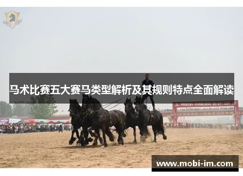 马术比赛五大赛马类型解析及其规则特点全面解读