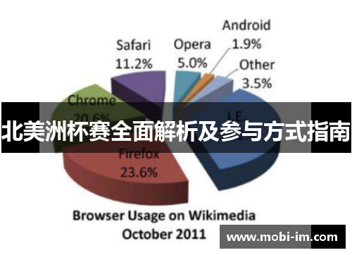 北美洲杯赛全面解析及参与方式指南