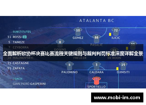 全面解析欧协杯决赛比赛流程关键规则与裁判判罚标准深度详解全景