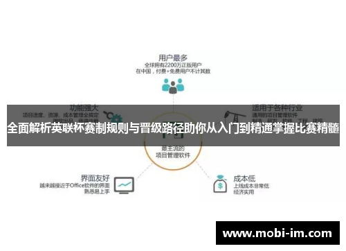 全面解析英联杯赛制规则与晋级路径助你从入门到精通掌握比赛精髓 全面解析英联杯赛制规则与晋级路径助你从入门到精通掌握比赛精髓
