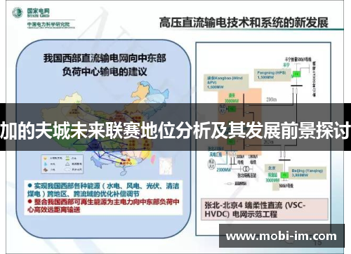 加的夫城未来联赛地位分析及其发展前景探讨 加的夫城未来联赛地位分析及其发展前景探讨