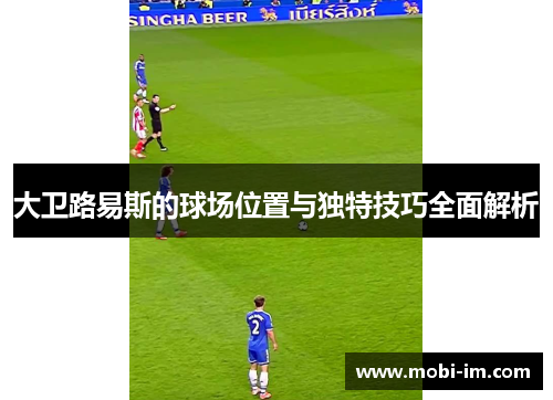 大卫路易斯的球场位置与独特技巧全面解析 大卫路易斯的球场位置与独特技巧全面解析