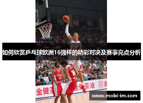 如何欣赏乒乓球欧洲16强杯的精彩对决及赛事亮点分析