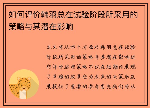 如何评价韩羽总在试验阶段所采用的策略与其潜在影响