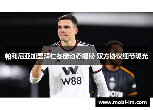 帕利尼亚加盟拜仁冬窗动态揭秘 双方协议细节曝光