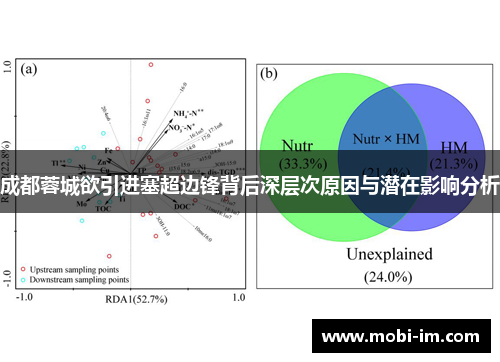 成都蓉城欲引进塞超边锋背后深层次原因与潜在影响分析