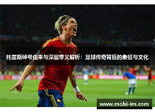 托雷斯绰号由来与深层意义解析：足球传奇背后的象征与文化