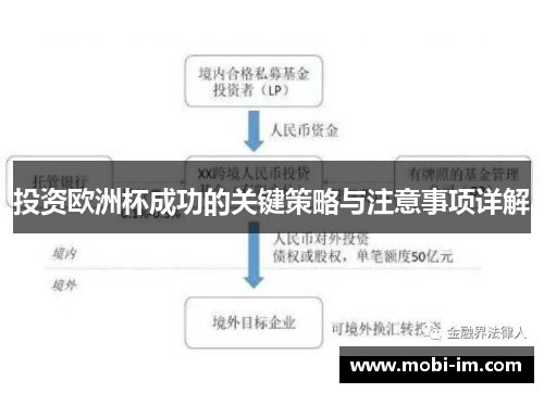 投资欧洲杯成功的关键策略与注意事项详解