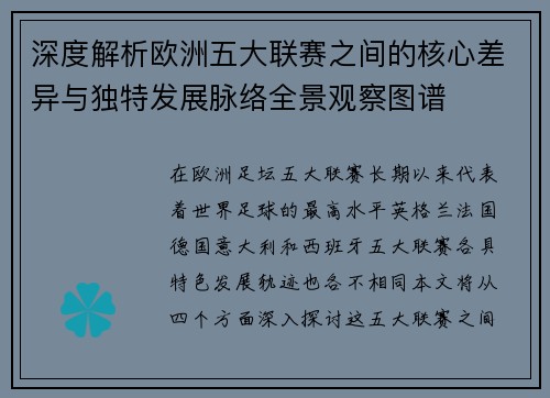 深度解析欧洲五大联赛之间的核心差异与独特发展脉络全景观察图谱